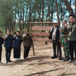 Otorita IKN Akan Tanam 500 Bibit Mangrove di Pantai Tanah Merah Samboja